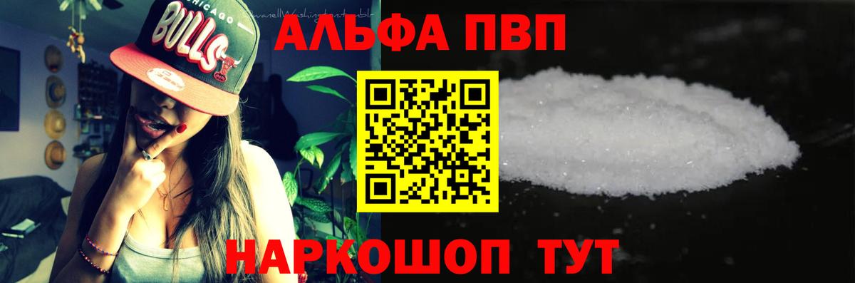Alfa_PVP СК Киселёвск