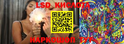 круглые Кингисепп