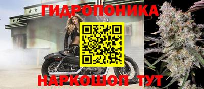 СК Кинель
