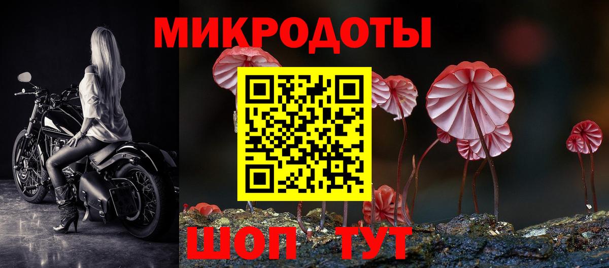 Киселёвск  Галлюциногенные грибы Cubensis  Вход с VPN  Псилоцибиновые грибы Psilocybine cubensis 